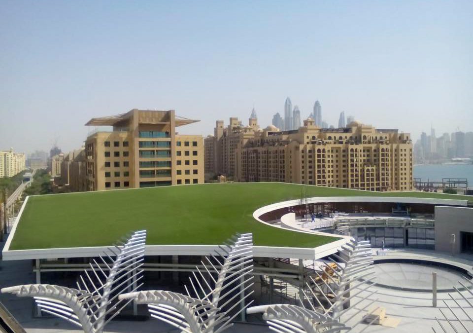 Dubai Rooftop