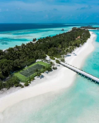 Did you know tennis courts can be turf, too? Act Global's artificial grass courts provide consistent play, reduce joint strain, and stand strong against all weather conditions. Perfect for homes, resorts, and clubs. Send us a message to learn more!
#ActGlobal #XtremeTurf #TennisTurf